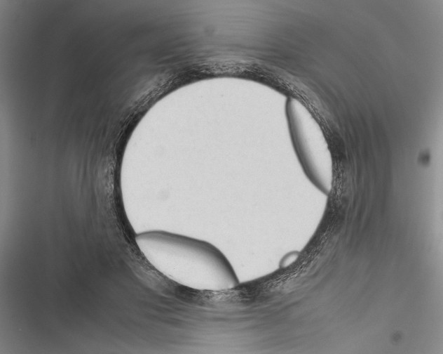 X0000116600501201001221301