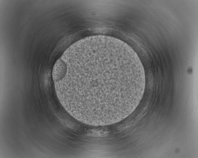 X0000116600502201001221300