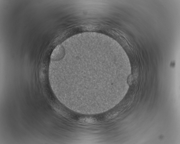X0000116600503201001221300