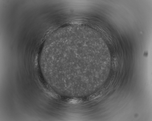 X0000116600504201001221300