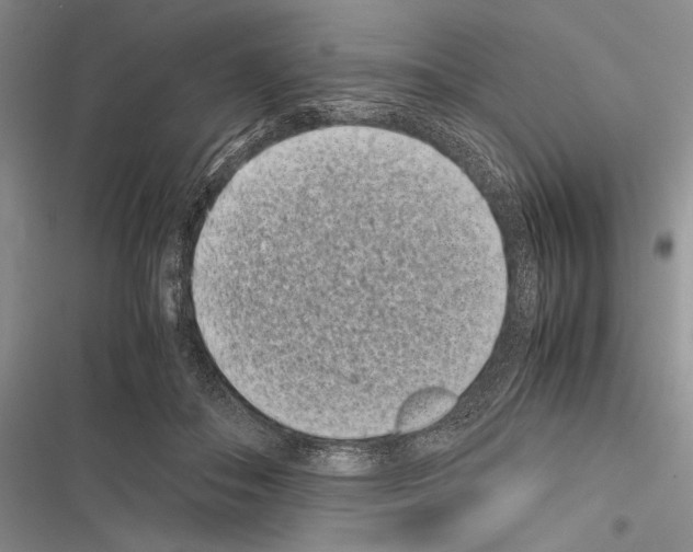X0000116600506201001221300