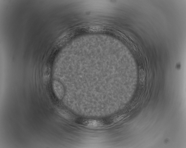X0000116600507201001221300