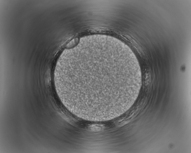 X0000116600508201001221300