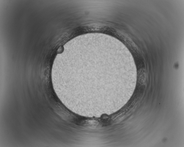 X0000116600509201001221300