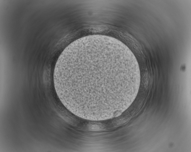 X0000116600510201001221300