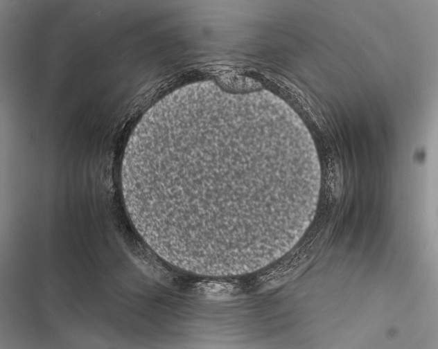 X0000116600512201001221300
