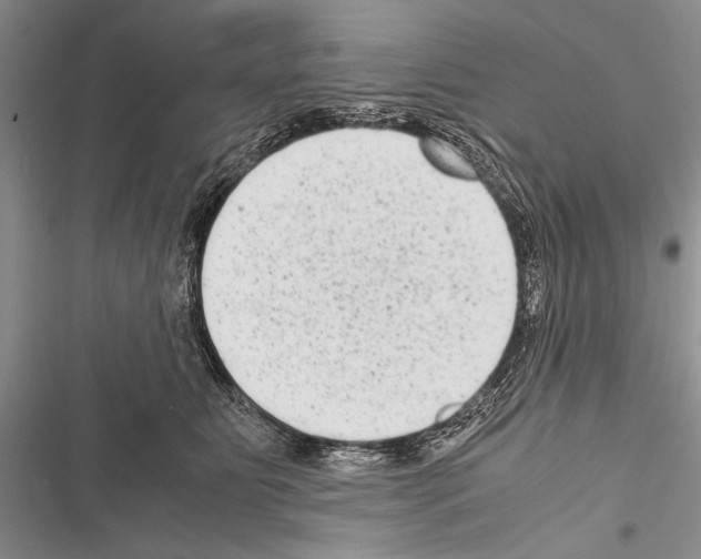 X0000116600515201001221300