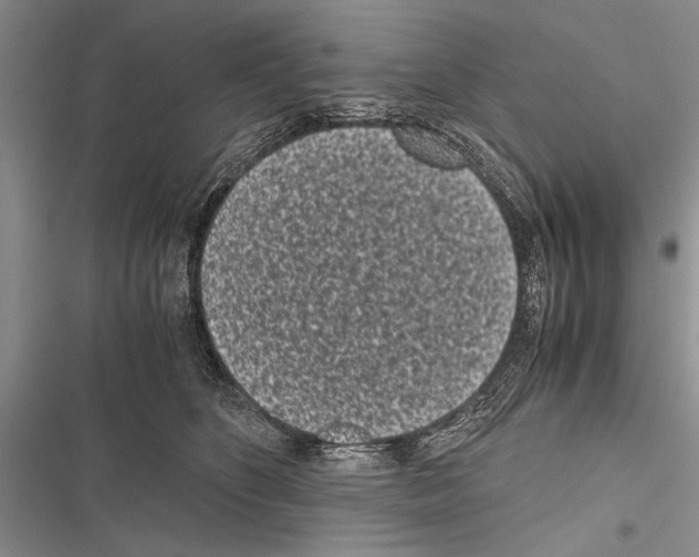 X0000116600516201001221300