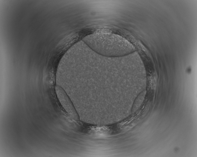 X0000116600517201001221300