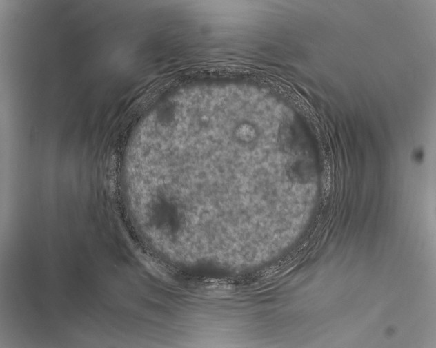 X0000116600519201001221300