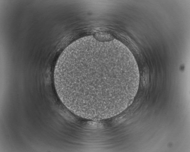 X0000116600520201001221300