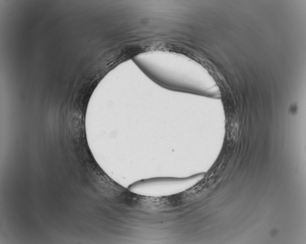 X0000116600521201001221300