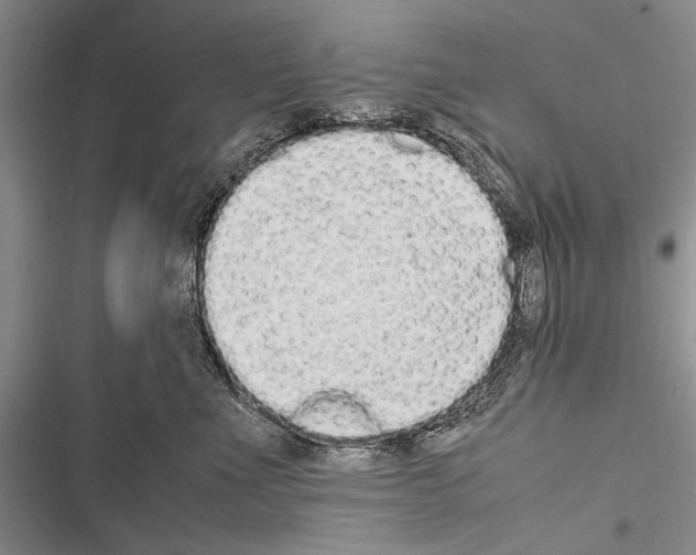 X0000116600523201001221300