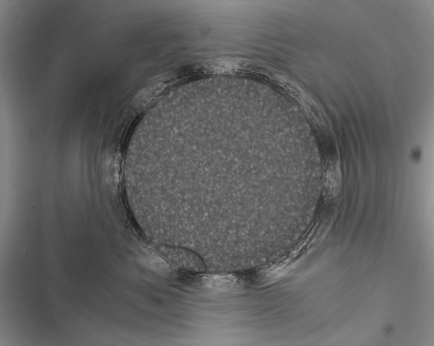 X0000116600525201001221300