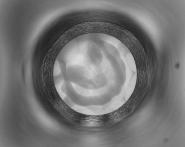 X0000116600526201001221300