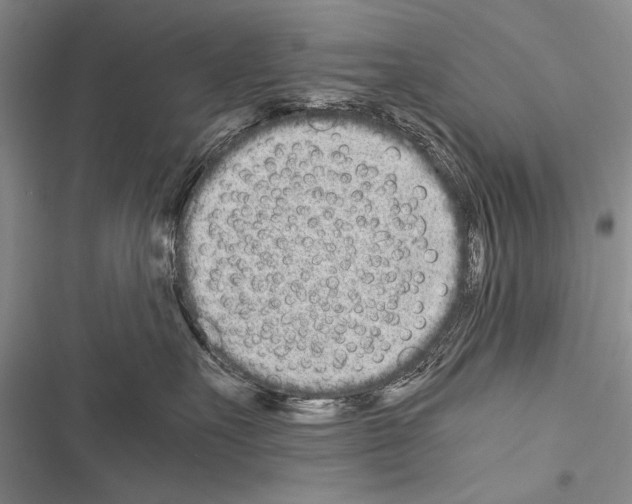 X0000116600527201001221300