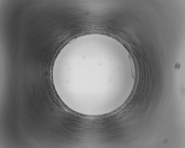 X0000116600528201001221300