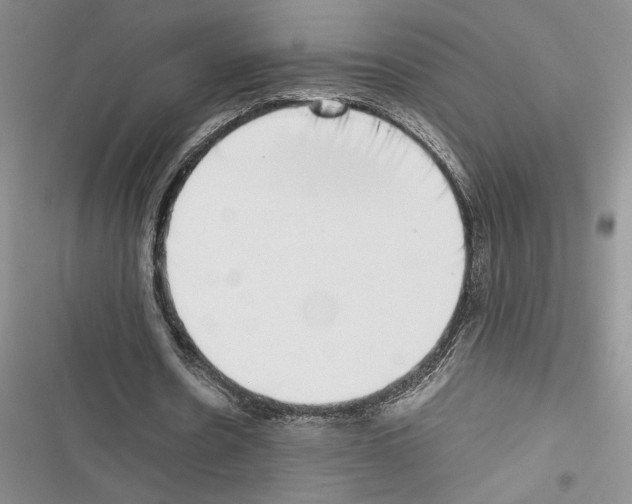 X0000116600530201001221300