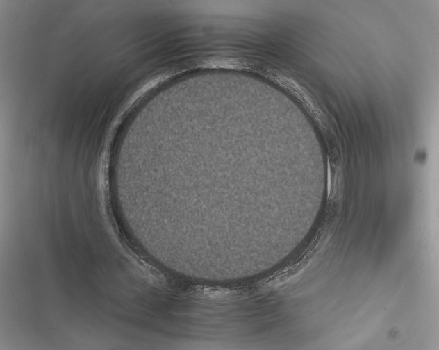 X0000116600531201001221300