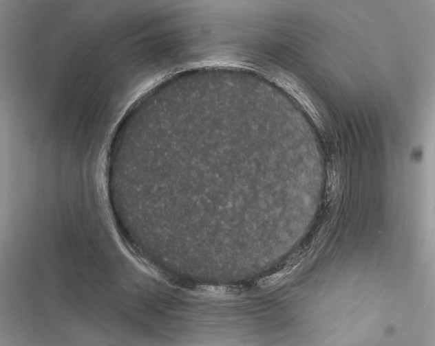 X0000116600534201001221300