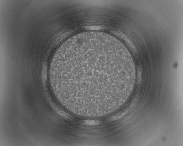 X0000116600541201001221300