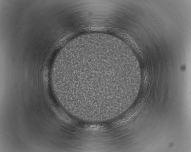 X0000116600542201001221300