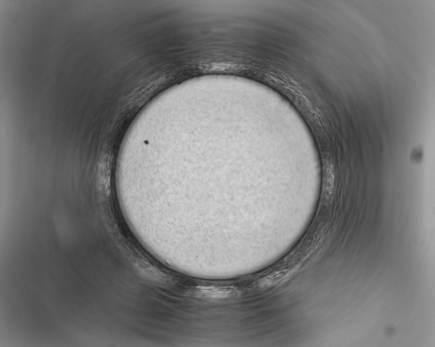 X0000116600545201001221300