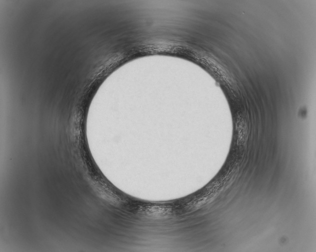 X0000116600546201001221300