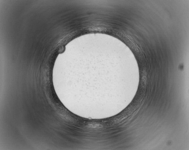 X0000116600547201001221300