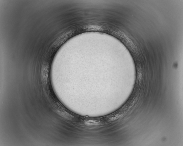X0000116600549201001221300
