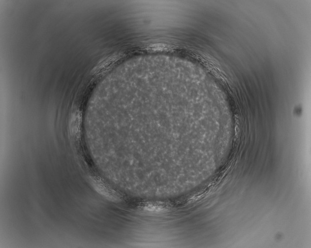 X0000116600550201001221300
