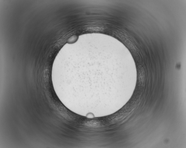 X0000116600551201001221300