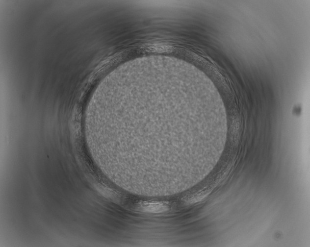X0000116600553201001221300