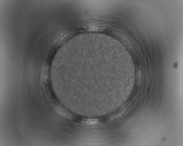 X0000116600554201001221300