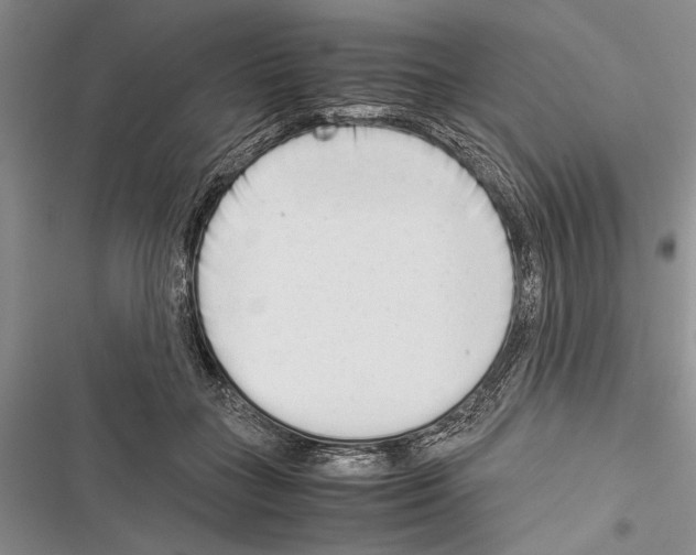 X0000116600555201001221300