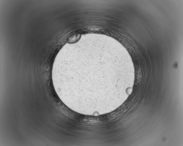 X0000116600559201001221300