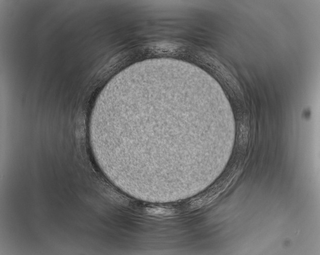 X0000116600561201001221300