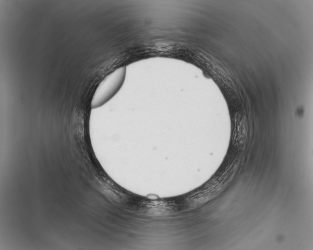 X0000116600562201001221300