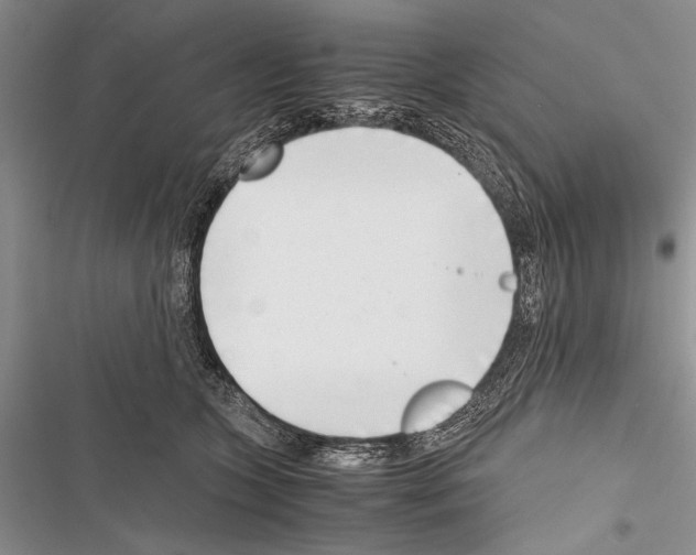 X0000116600563201001221300