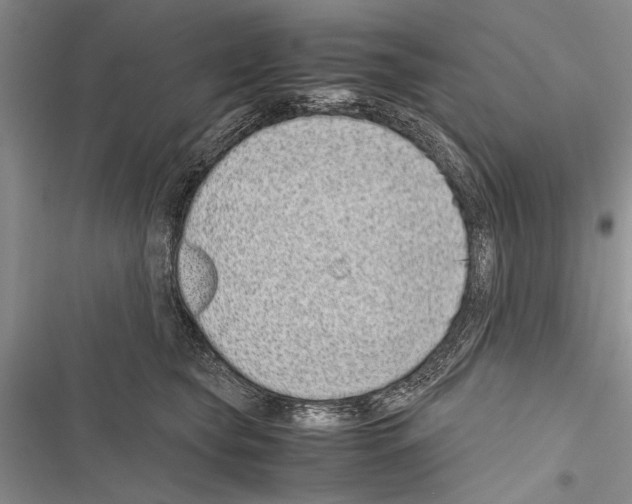 X0000116600565201001221300