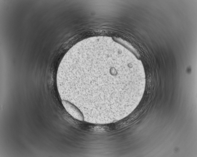 X0000116600566201001221300