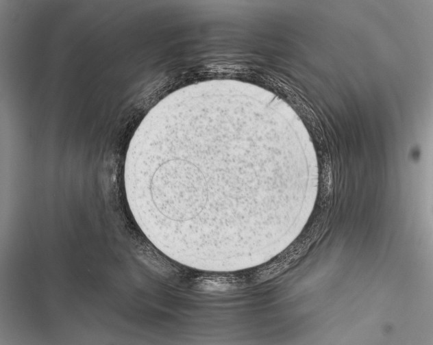 X0000116600567201001221300
