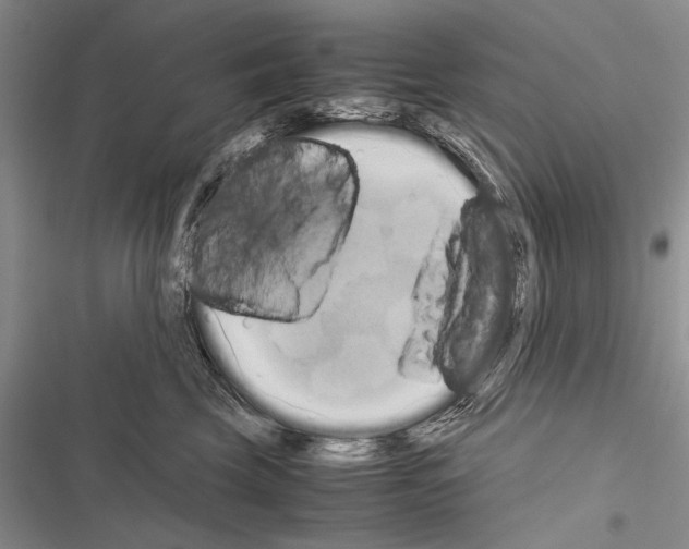 X0000116600569201001221300