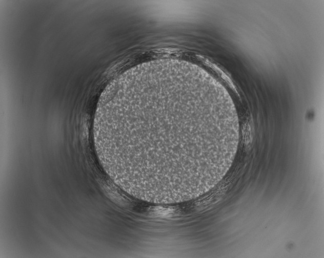X0000116600570201001221300