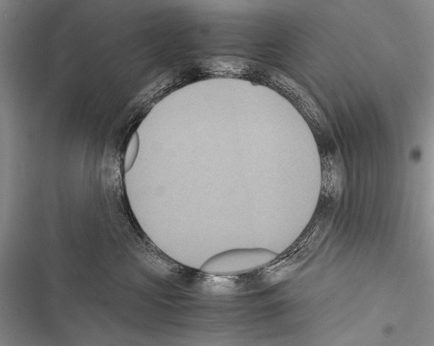 X0000116600573201001221300