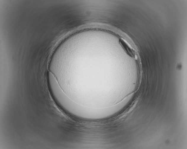 X0000116600577201001221259