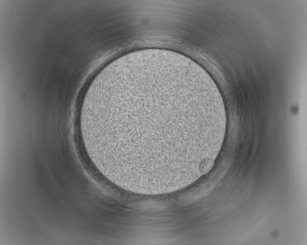 X0000116600578201001221259