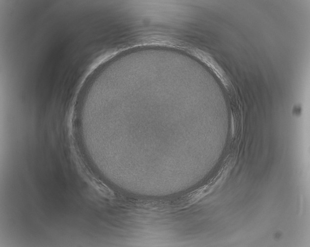 X0000116600579201001221259