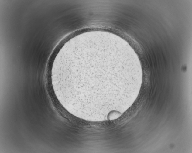 X0000116600580201001221259
