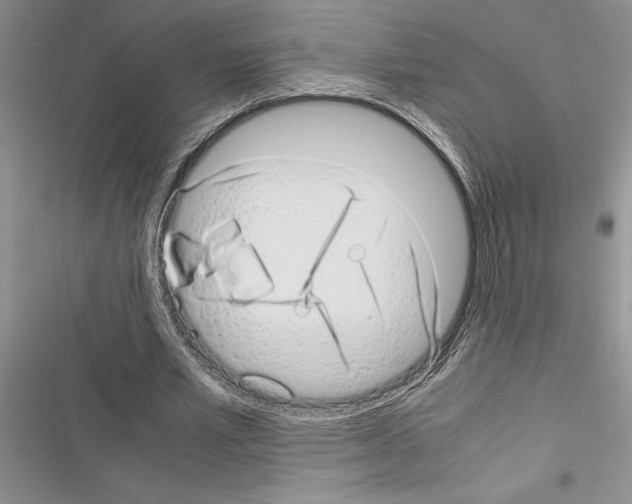 X0000116600581201001221259